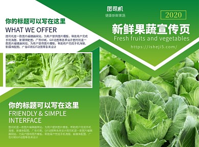 新鲜水果蔬菜宣传广告印刷二折页