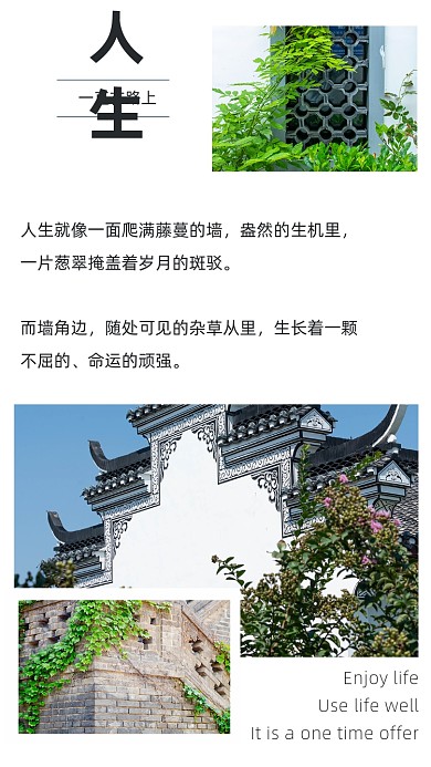 文艺清新人生的道路文章配图