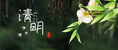 绿色清明节清新摄影图节气公众号首图