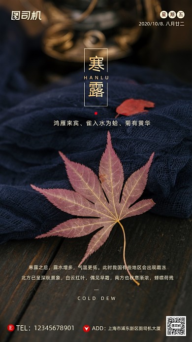 寒露节气摄影图枫叶文艺简约手机海报