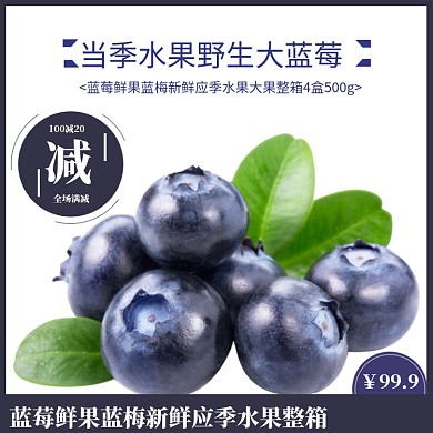 简约夏季水果蓝莓电商主图