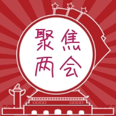 聚焦全国两会红色简约公众号次图