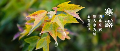 寒露微信公众号素材图片