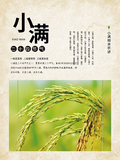 传统节气小满海报设计