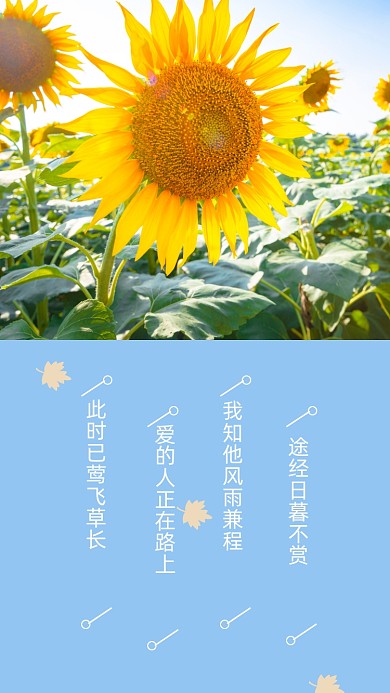 蓝色简约三月阳春莺飞草长文章配图