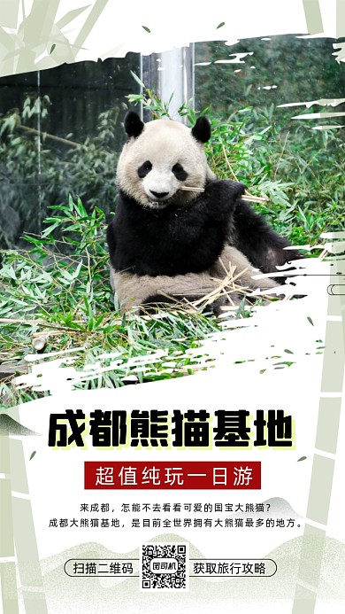 成都大熊猫旅游清新简约宣传手机海报