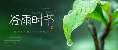 谷雨时节节气春天下雨叶子简约公众号首图