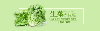 绿色水果蔬菜生菜促销banner