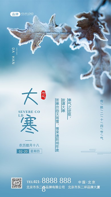 大寒节气传统节气摄影图海报