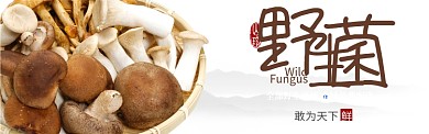 棕色蔬菜农产品野生菌蘑菇促销banner