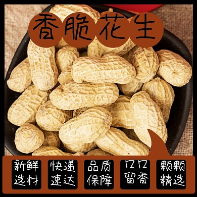 花生食品淘宝主图直通车模板