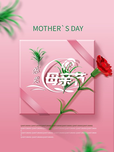 5.12康乃馨母亲节海报