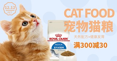 双十二健康宠物猫粮健康促销海报