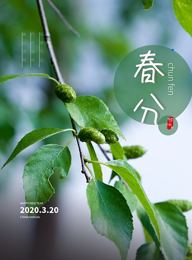 春分节气印刷海报