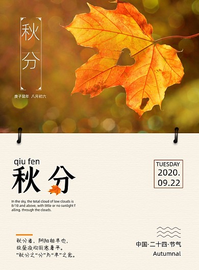 秋分清新文艺24节气传统节日宣传海报