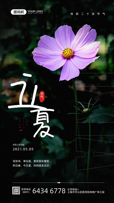 立夏节气夏日红花摄影图宣传手机海报