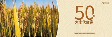 大米促销优惠券代金券