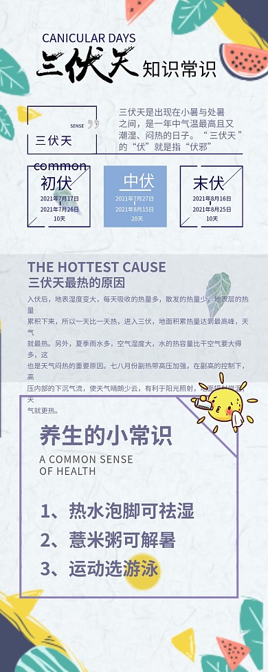 清新三伏天知识常识信息长图