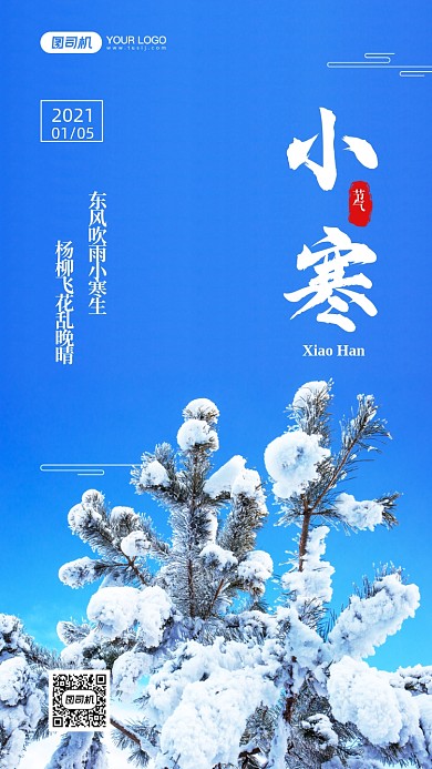 小寒节气24节气写实手机海报