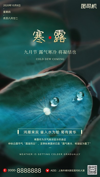 寒露节气小清新荷叶摄影图手机海报