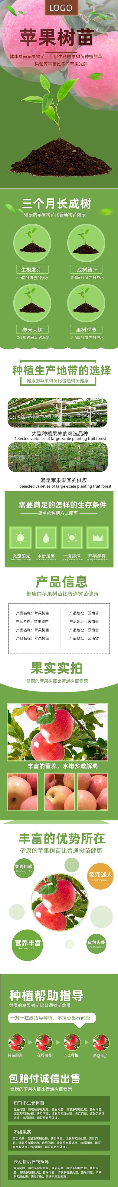 苹果树苗健康自然绿色美食种植详情页