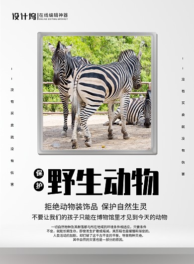 白色简约保护野生动物公益宣传海报