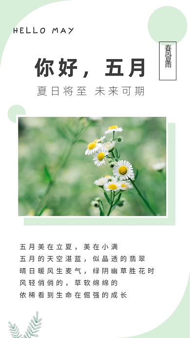 你好五月清新文艺公众号竖版配图