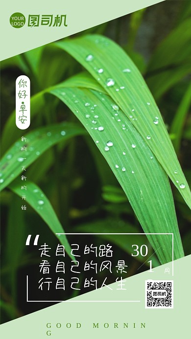 你好早安小清新每日一签日签月签