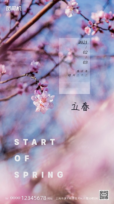 立春节气梅花背景文艺手机海报