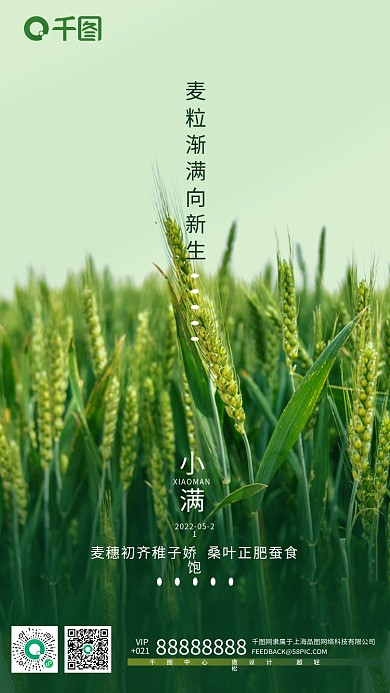 二十四节气小满小麦丰收摄影手机海报