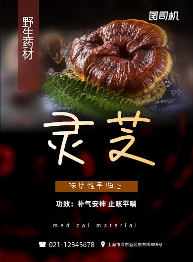 中药黑色简约灵芝野生药材功效印刷海报
