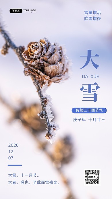 大雪二十四节气写实手机海报