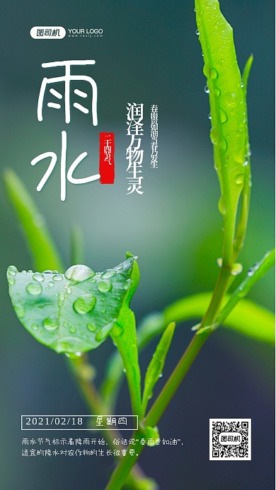 雨水二十四节气写实手机海报