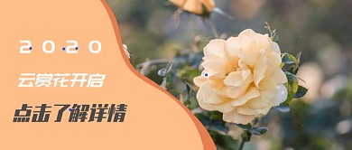 春日线上云赏花首图