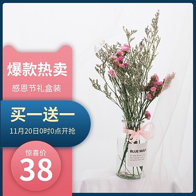 粉色蓝色感恩节送礼干花优惠直通车