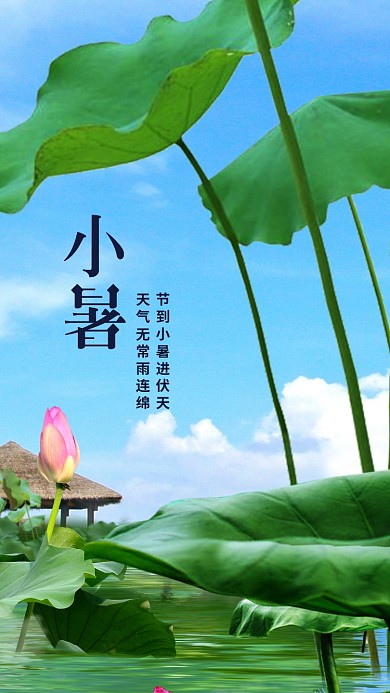 小清新二十四节气小暑手机用图