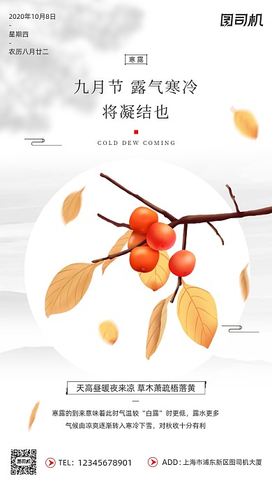 寒露节气手绘卡通插画柿子简约手机海报