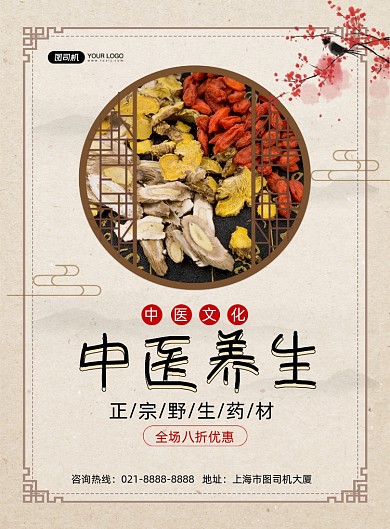 中药中国风中医养生印刷海报