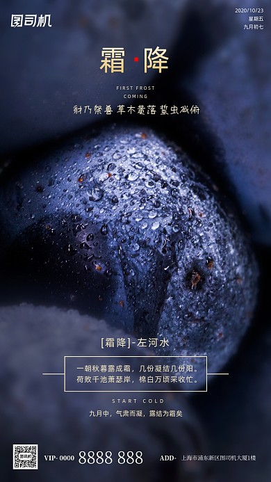 霜降节气摄影图水珠清新简约手机海报