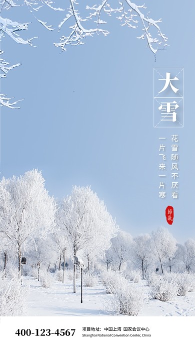 唯美清新简约大雪传统节气手机海报模板