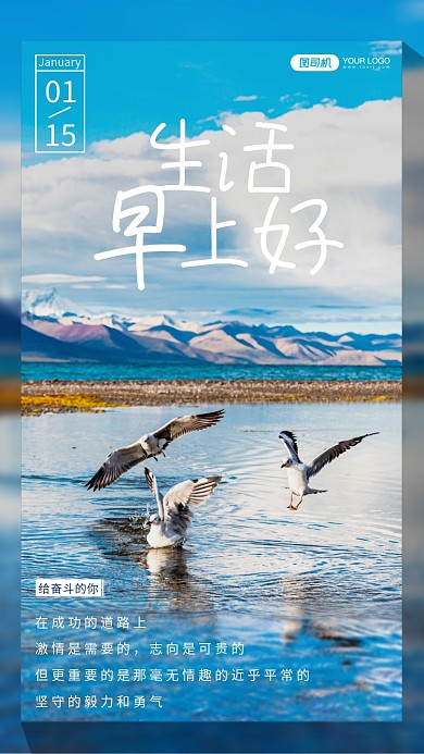 冷色调湖边海鸥摄影手机海报