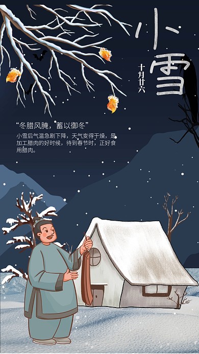 卡通插画创意小雪节气习俗手机海报