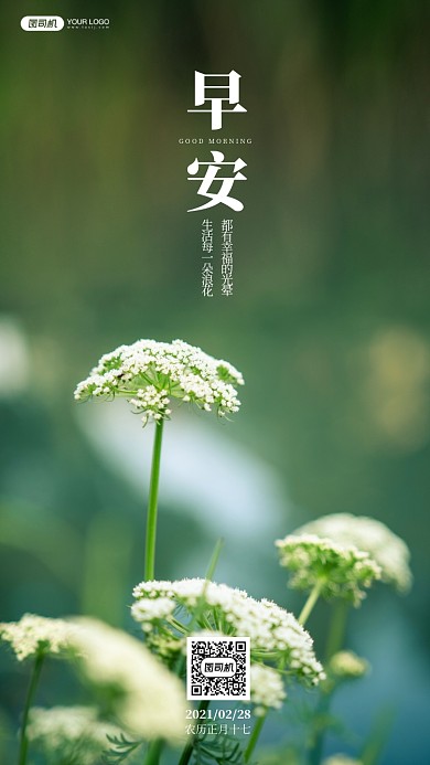 白色野花摄影手机海报