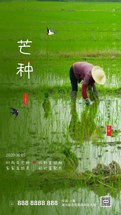 清新芒种农民劳动海报
