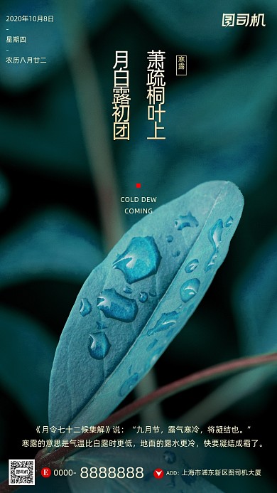 寒露节气绿叶摄影图清新简约手机海报