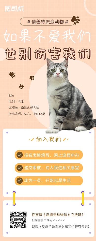 关爱流浪动物志愿活动手机长图海报