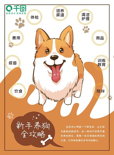 新手养宠4大攻略