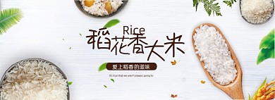 简约清新家居风格大米海报