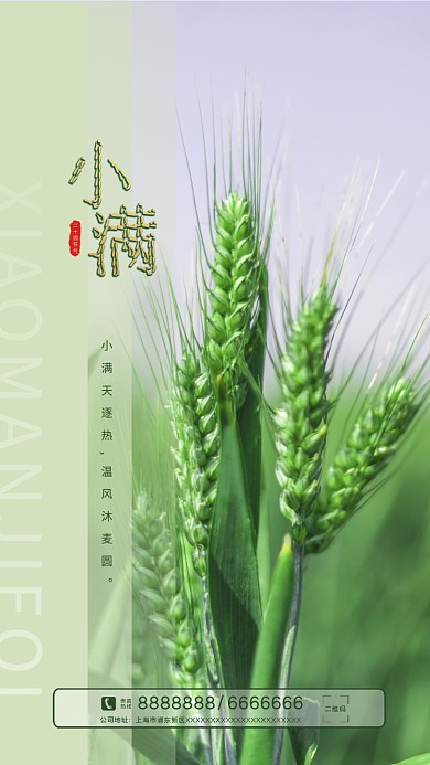 二十四节气小满二十四节气贵宾日签