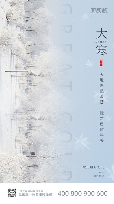 大寒节气冬日雪景实拍大气手机海报